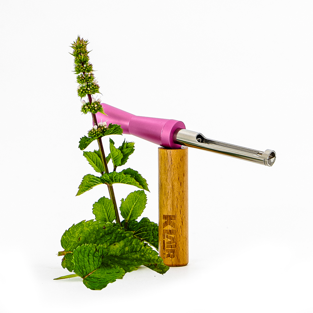 Extra Mint Aromakapseln für 10 Tage