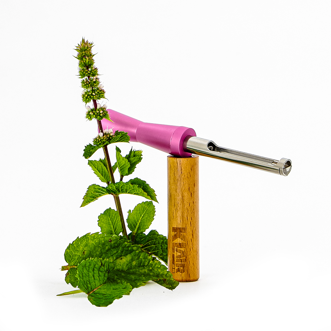 Extra Mint Aromakapseln für 10 Tage
